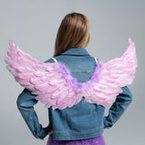 Queensland Firebirds Wings